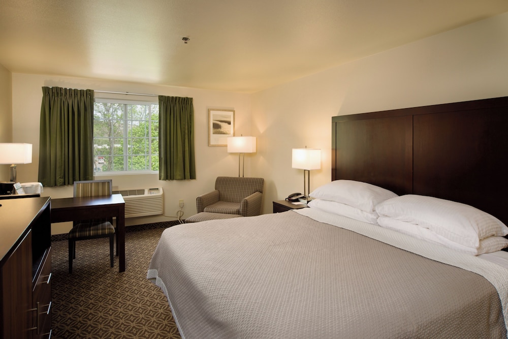 Business Room, 1 King Bed photo 1