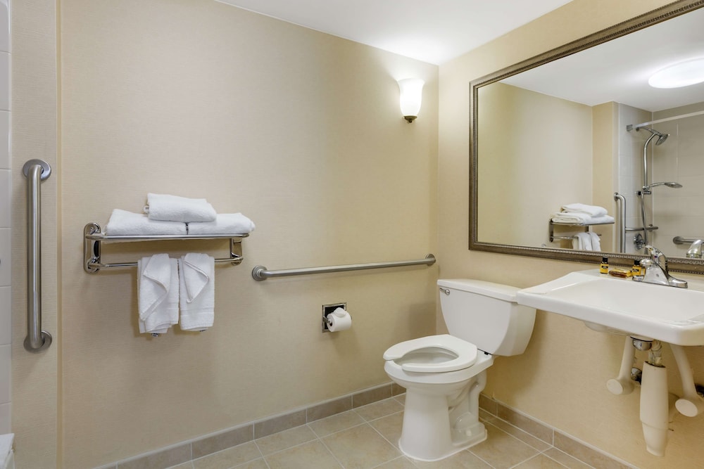 Standard Room, 1 Queen Bed, Accessible, Refrigerator & Microwave (Walk-In Shower) - Photo 4