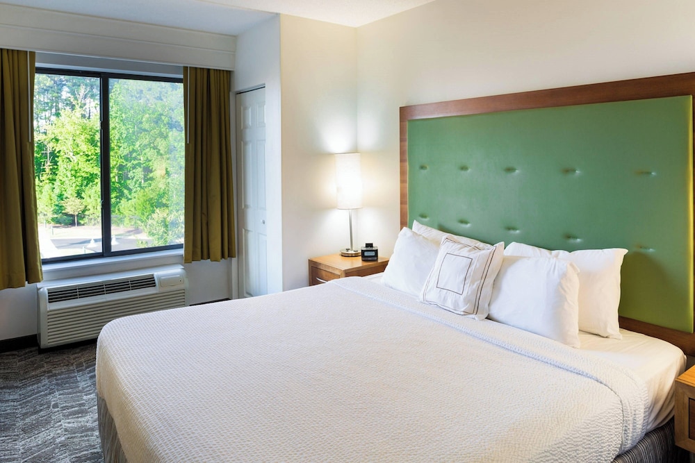 Suite, 1 King Bed with Sofa bed