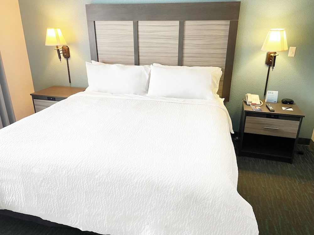Suite, 1 King Bed - Photo 1
