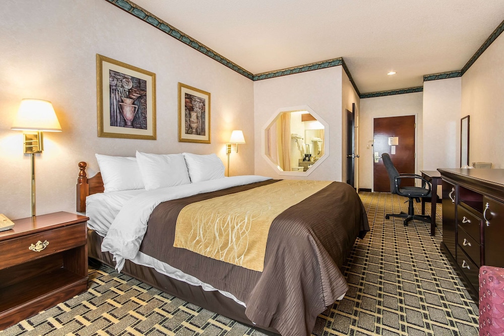 Room, 1 King Bed, Accessible, Non Smoking photo 1