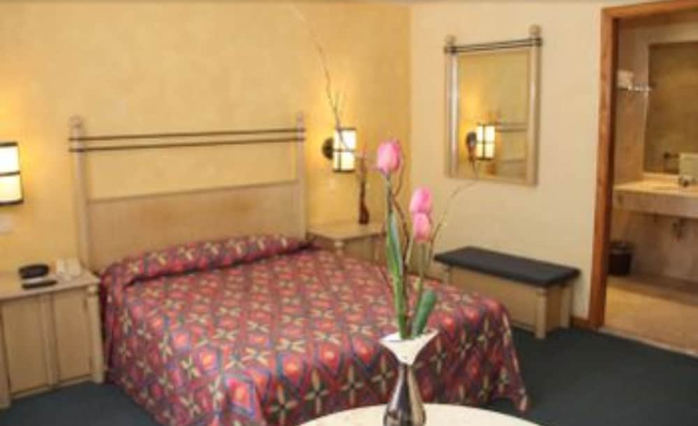 Superior Double Room photo 1