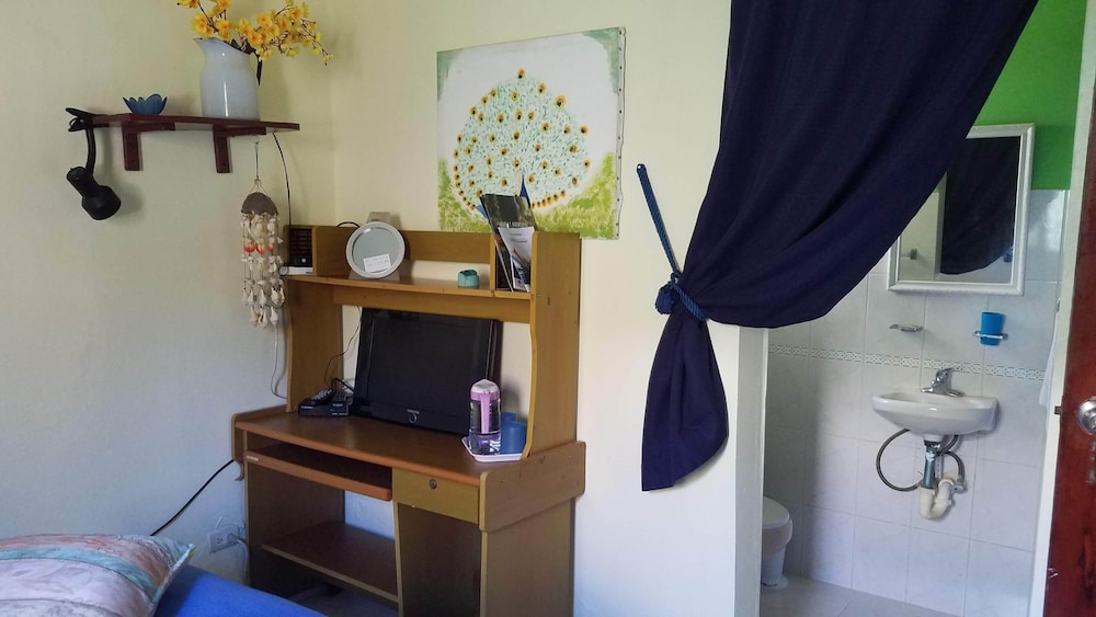 Basic Studio, Garden View photo 3