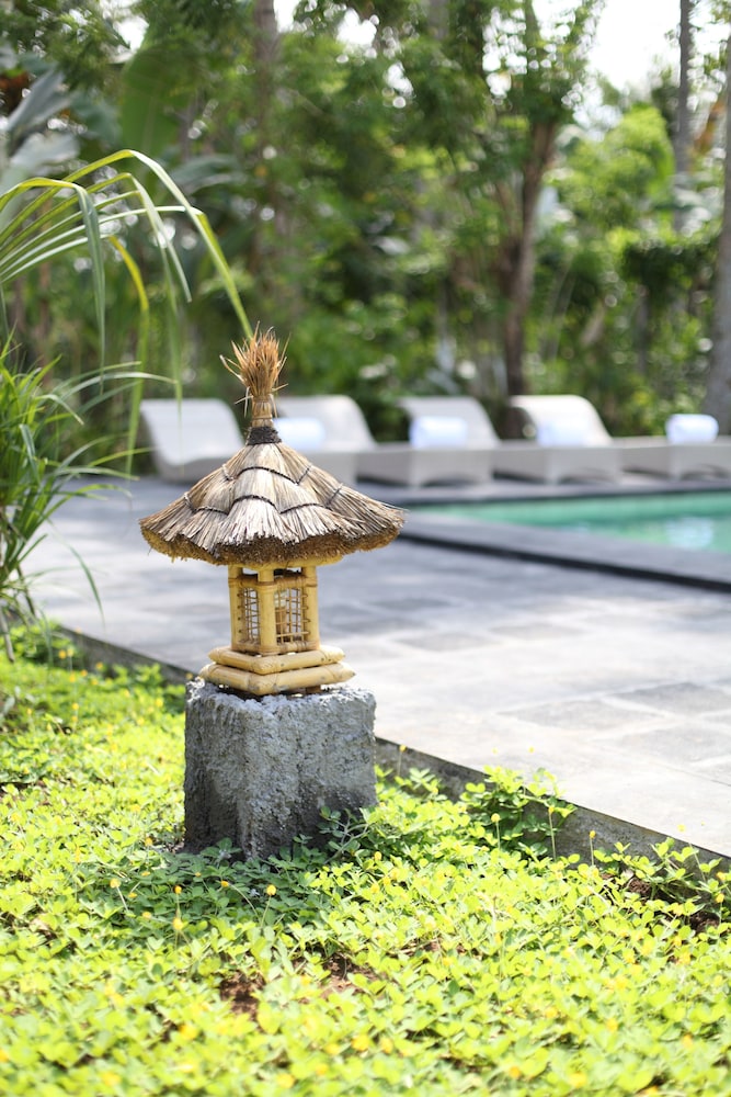 Premier Room, 1 Bedroom, Pool View photo 3