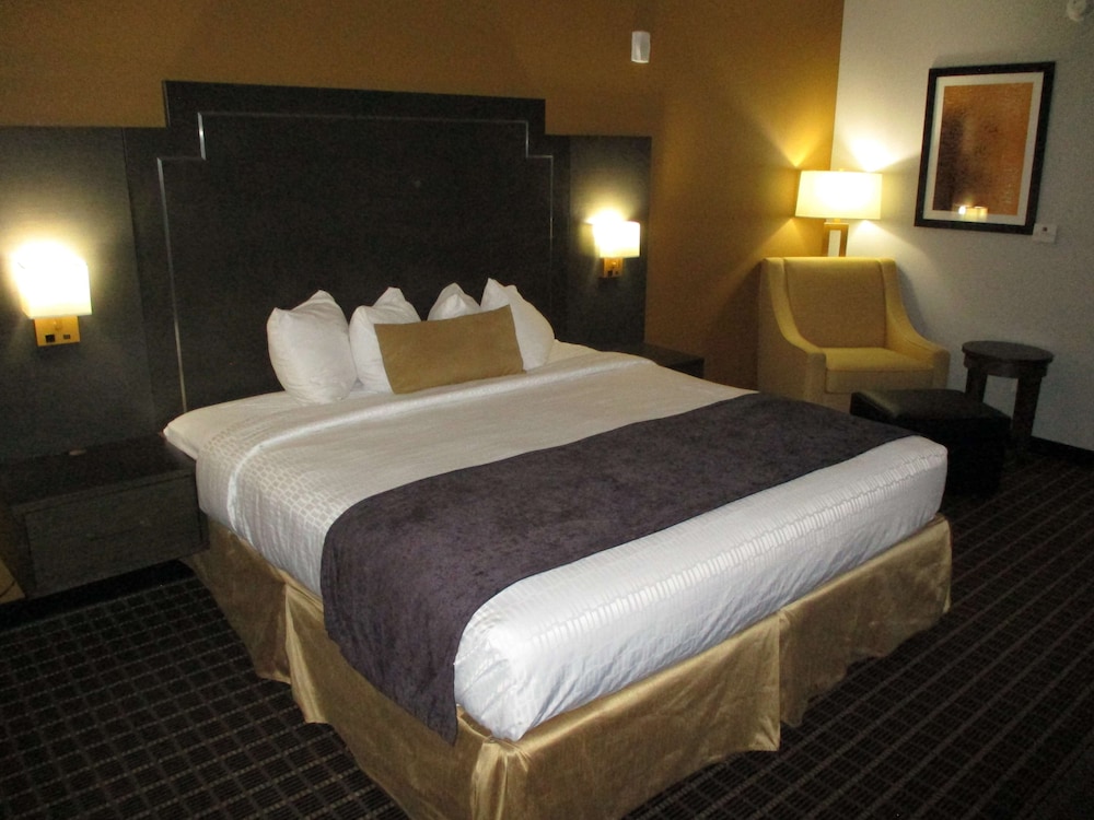 Standard Room, 1 King Bed, Non Smoking, Refrigerator & Microwave (Shower Only) photo 1