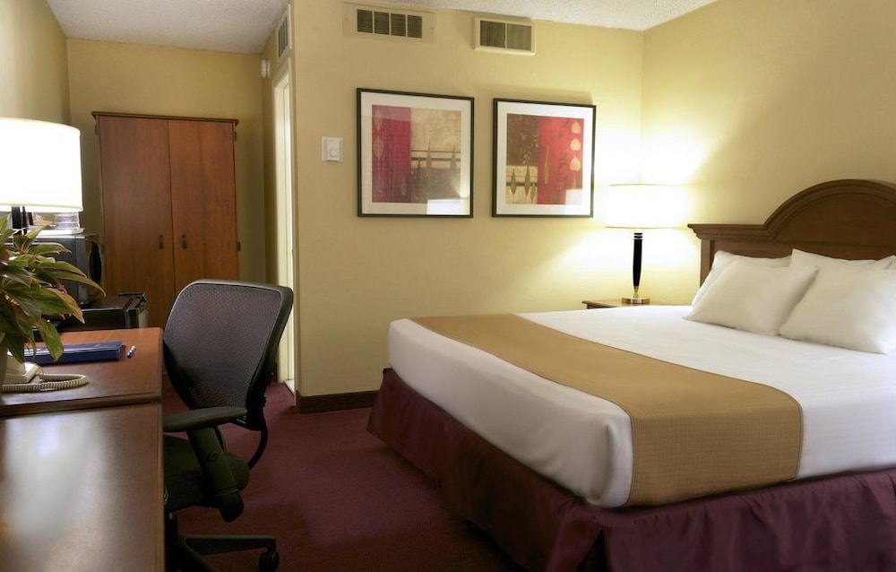 Executive Suite, 1 King Bed with Sofa bed photo 2
