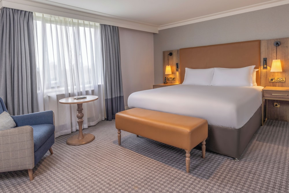 Suite - Photo 1