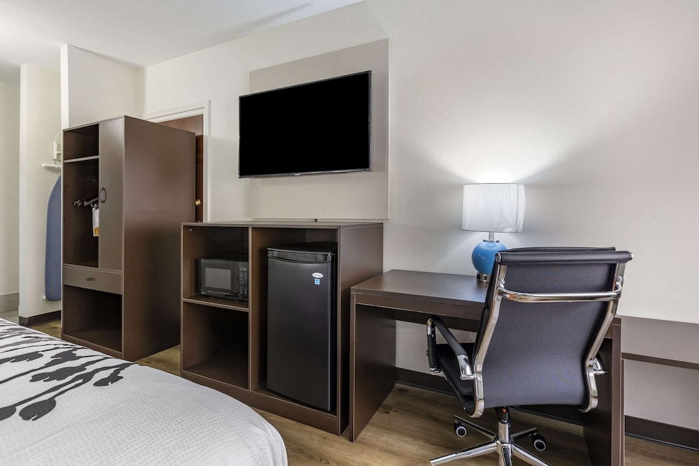 Room, 1 King Bed, Accessible, Non Smoking - Photo 4