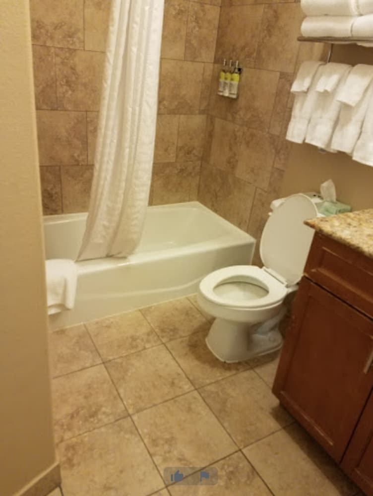 Studio Suite, 2 Double Beds - Photo 3