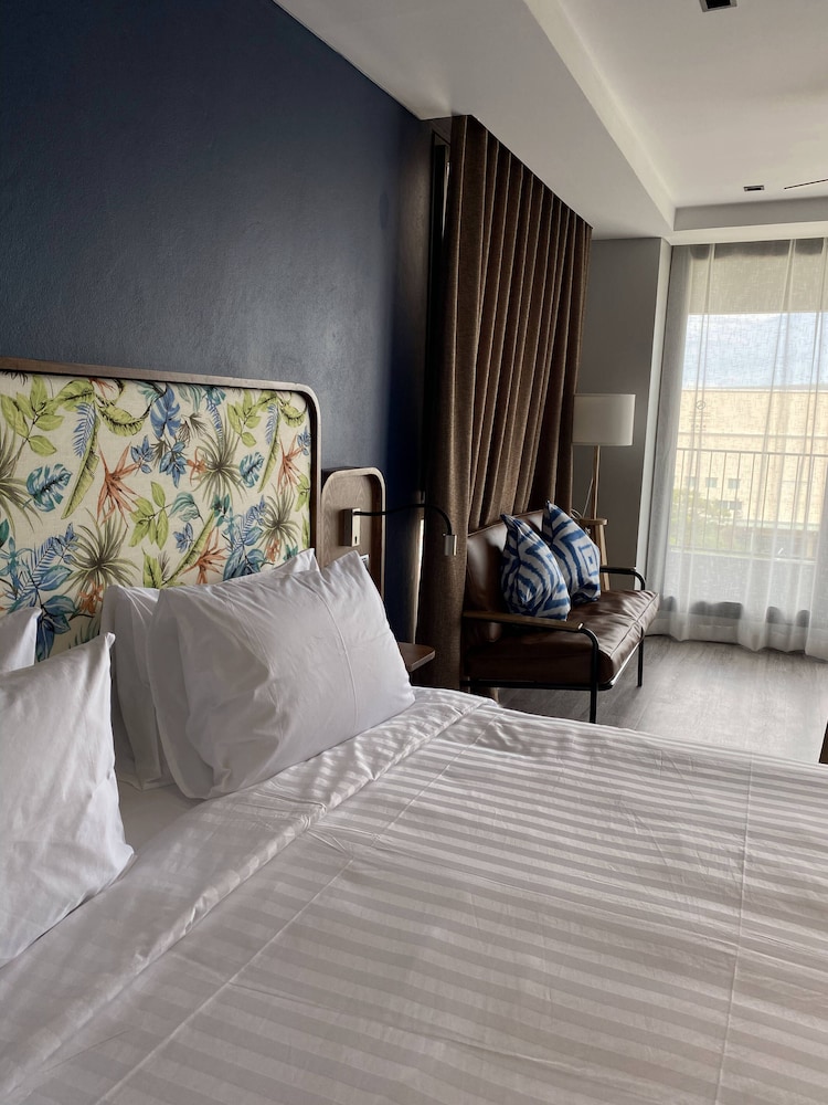 Studio Suite - Photo 6