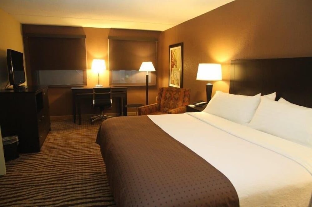 Suite, 1 King Bed - Photo 3
