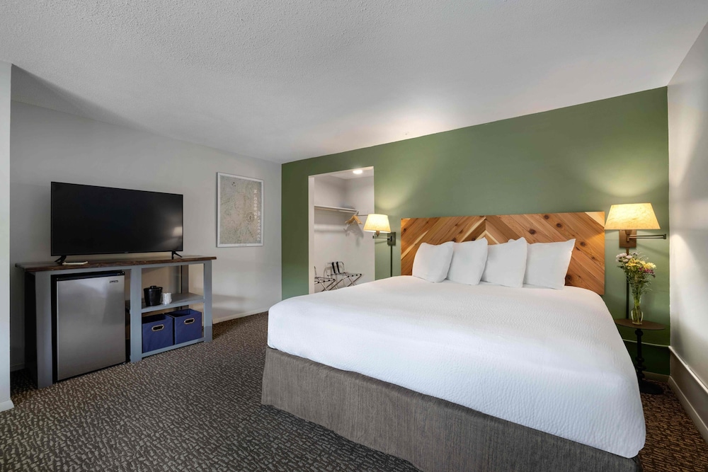 Room, 1 King Bed photo 1