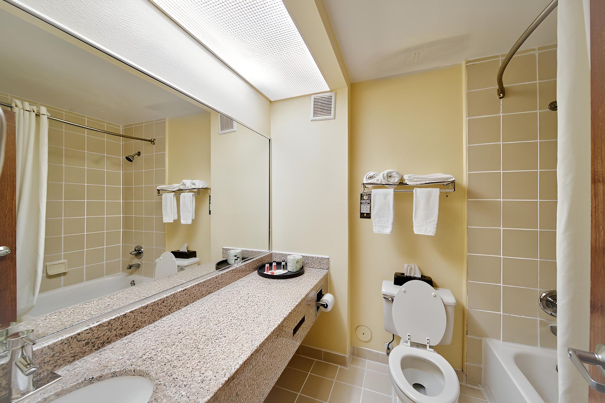 Standard Room, 1 King Bed, Refrigerator photo 3