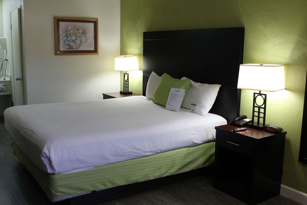 Deluxe Room, 1 King Bed, Non Smoking, Refrigerator & Microwave - Photo 3