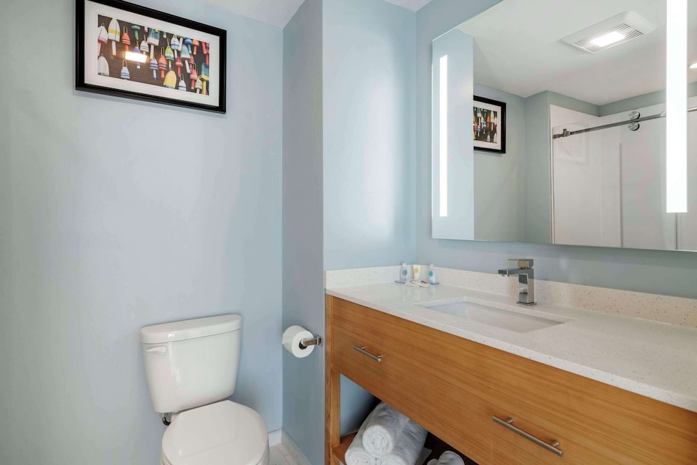 Room, 1 King Bed, Accessible, Non Smoking (Roll-In Shower) - Photo 4