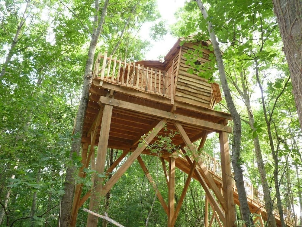 Cabin (Diane) photo 2