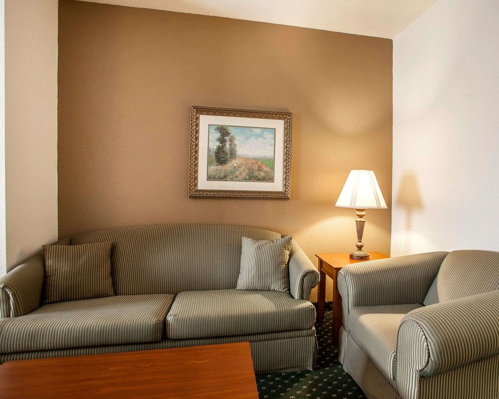 Suite, 1 King Bed with Sofa bed, Accessible, Non Smoking (Roll-In Shower) - Photo 3