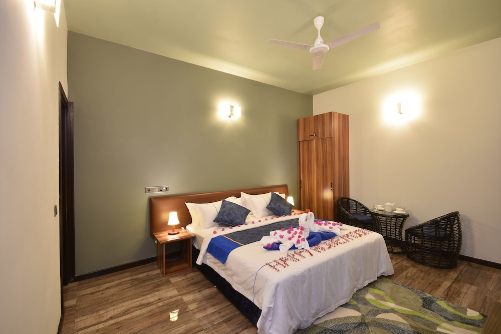 Deluxe Double or Twin Room photo 1