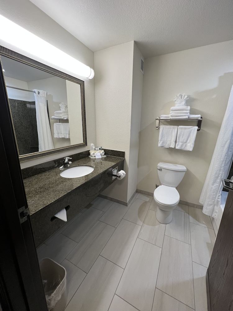 Standard Room, 1 King Bed, Accessible (Mobility, Roll-In Shower) - Photo 5