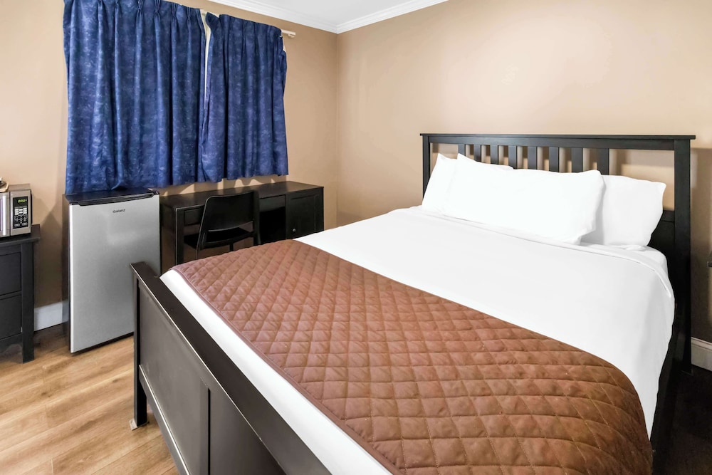 Room, 1 Queen Bed, Non Smoking