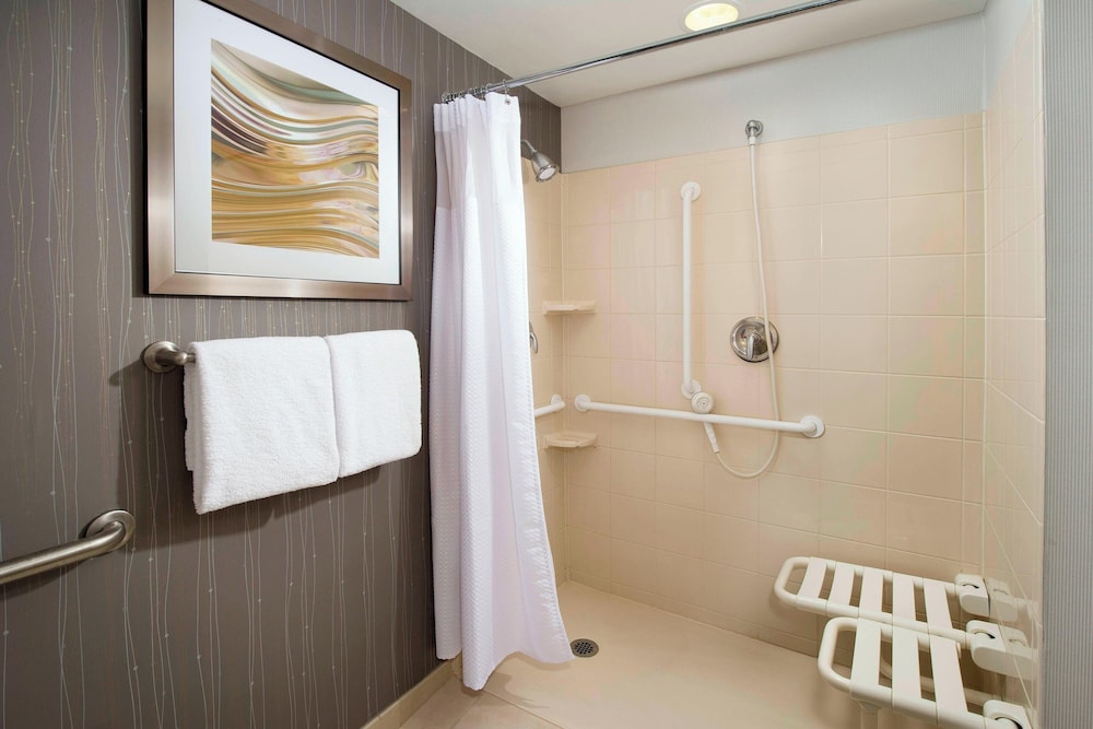 Room, 1 King Bed (Mobility Accessible, Roll-in Shower) - Photo 6