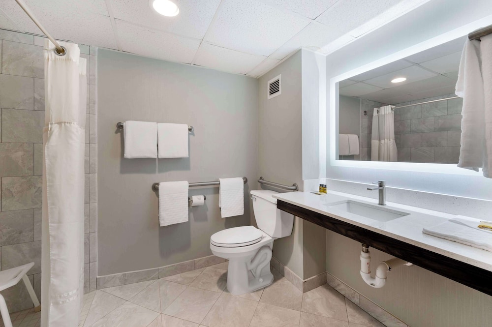 Standard Room, 1 King Bed, Accessible, Refrigerator & Microwave - Photo 9
