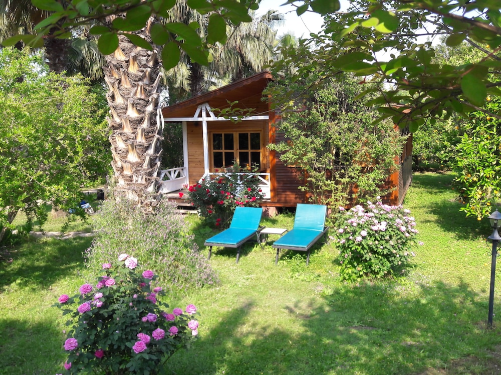 Family Bungalow, 2 Bedrooms, Terrace (with living room) photo 2