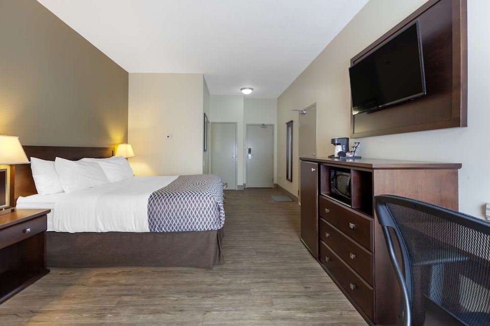 Standard Room, 1 King Bed, Non Smoking, Refrigerator & Microwave photo 2
