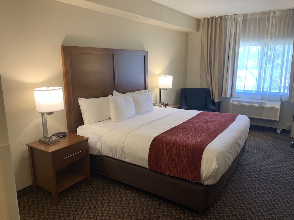 Room, 1 King Bed, Accessible, Non Smoking - Photo 2