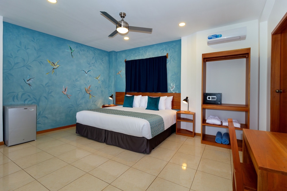 Superior Single Room photo 2
