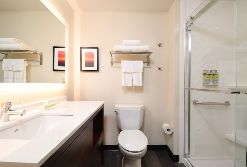 Suite, 2 Queen Beds (Bath Shower Combination) - Photo 4