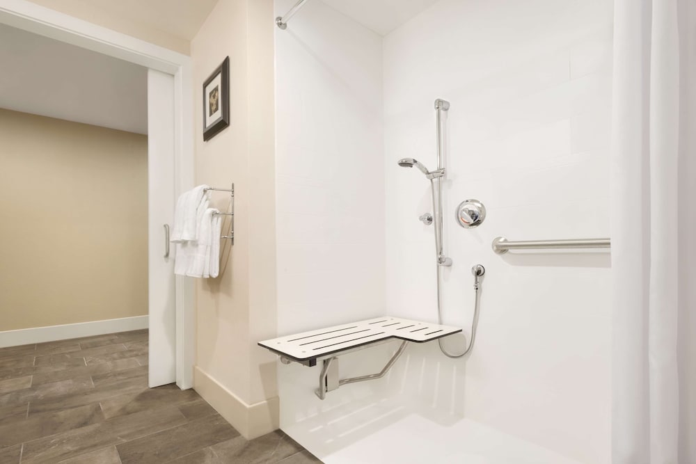 Room, 1 King Bed, Accessible, Non Smoking (Roll in shower) photo 3