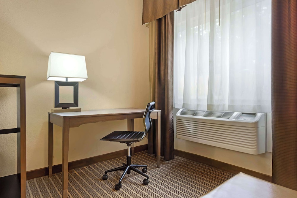 Standard Room, 1 King Bed, Accessible, Refrigerator & Microwave (Walk-in Shower;with Sofabed) photo 3