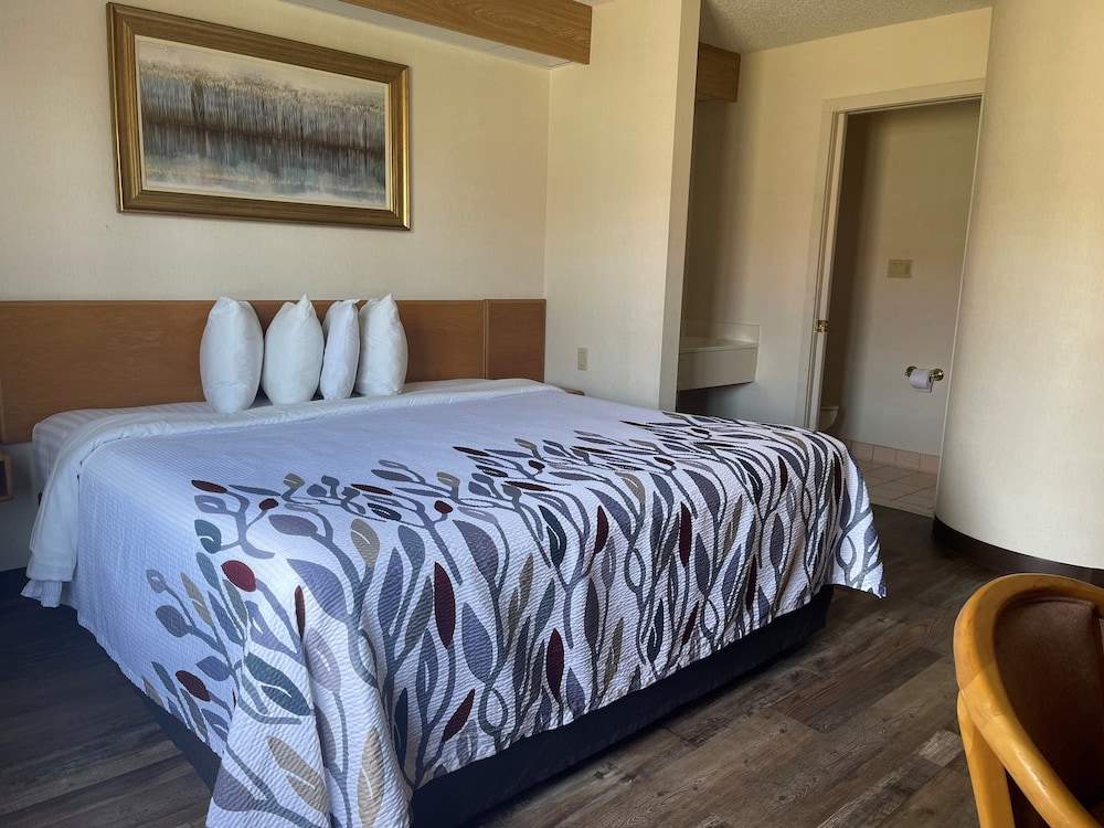 Superior Room, 1 King Bed, Non Smoking - Photo 1