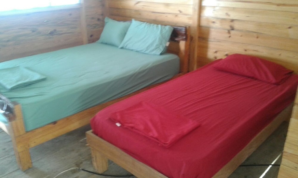 Standard Cabin, Multiple Beds photo 3