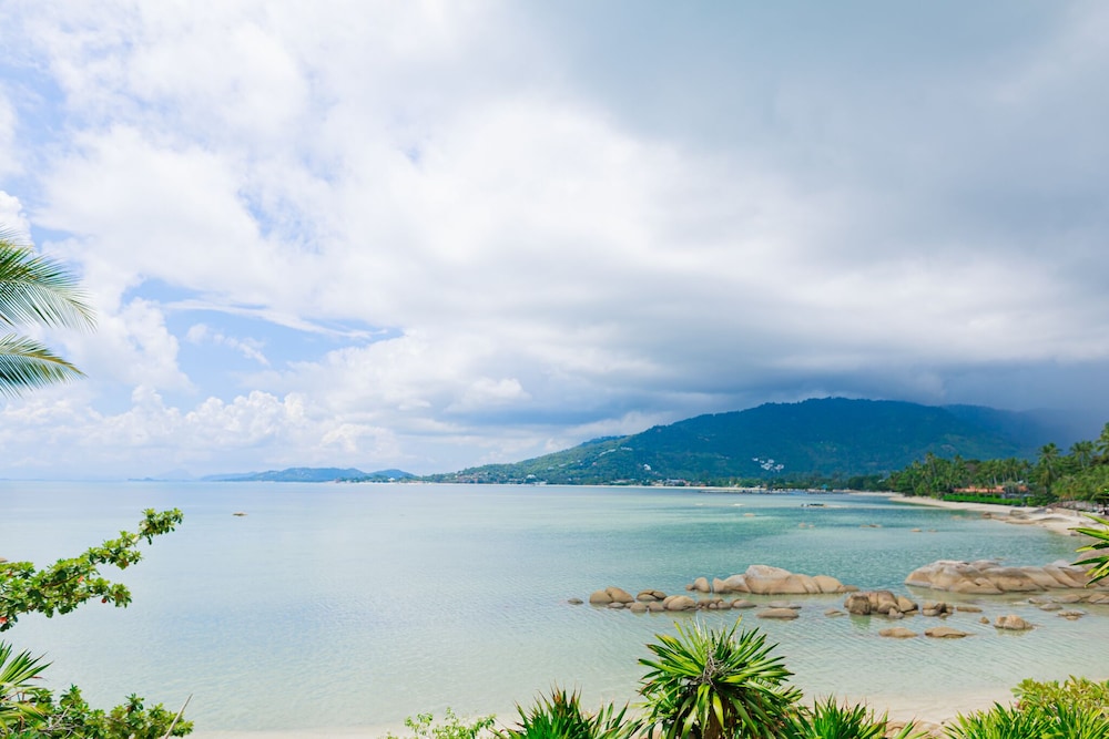 Deluxe Beachfront - Photo 2
