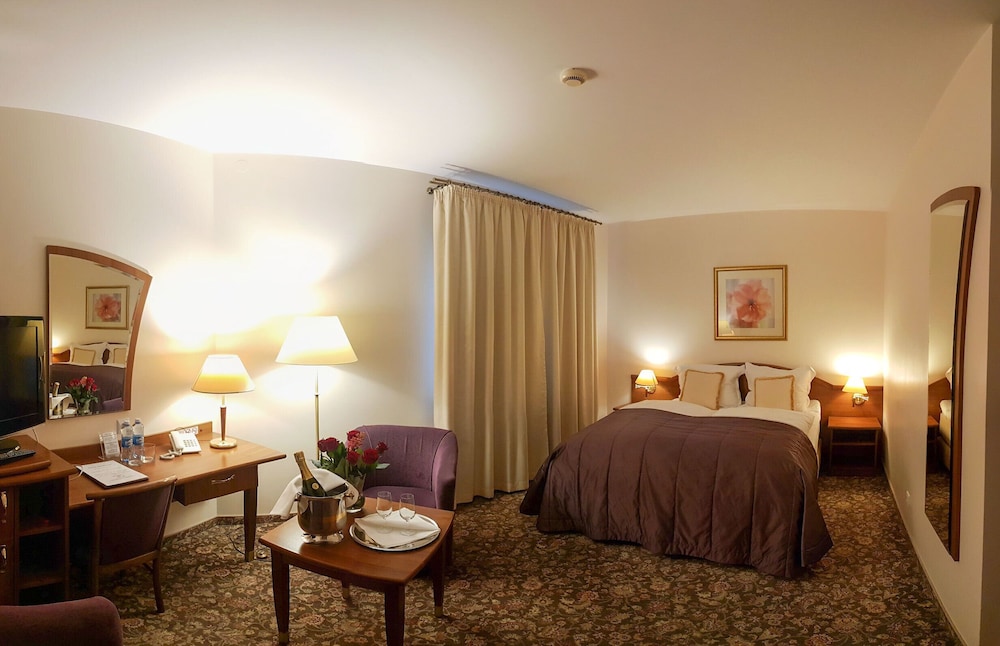 Deluxe Double Room Single Use, 1 King Bed photo 3