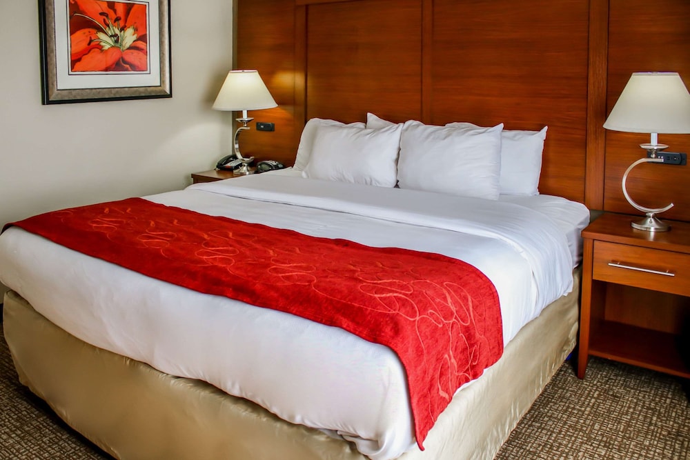 Comfort Suites At Virginia Center Commons, Billede 12