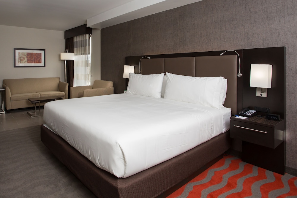Suite, 1 King Bed, Accessible (Communications, Roll-In Shower)