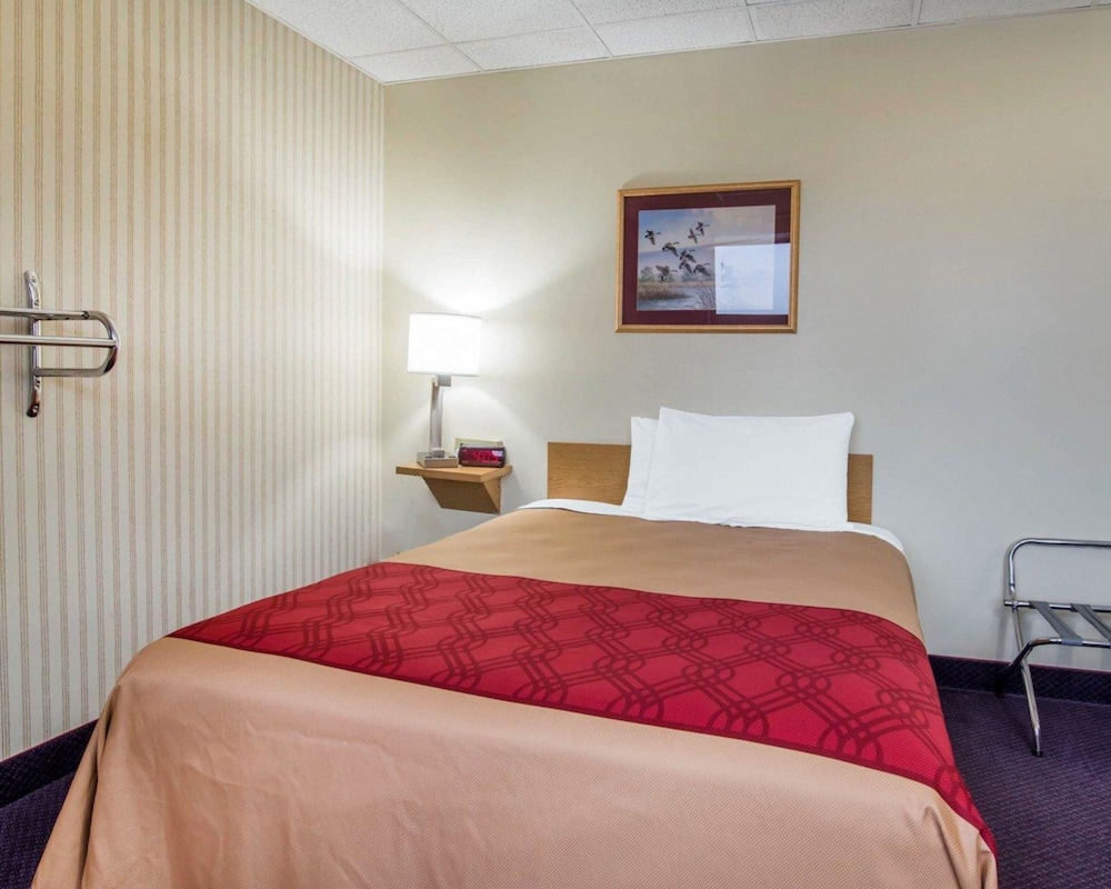 Senior Room, 1 Queen Bed, Non Smoking