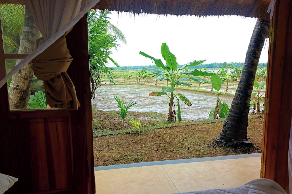 Villa, 2 Bedrooms, Smoking, Private Pool photo 3