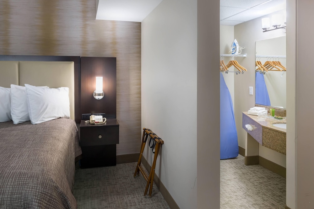 Standard Room, 1 King Bed, City View