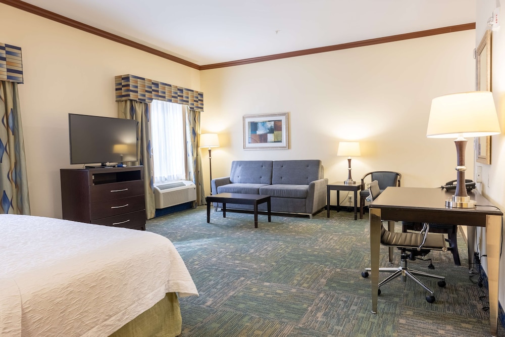 Suite, 1 King Bed, Accessible (Roll-In Shower) - Photo 1