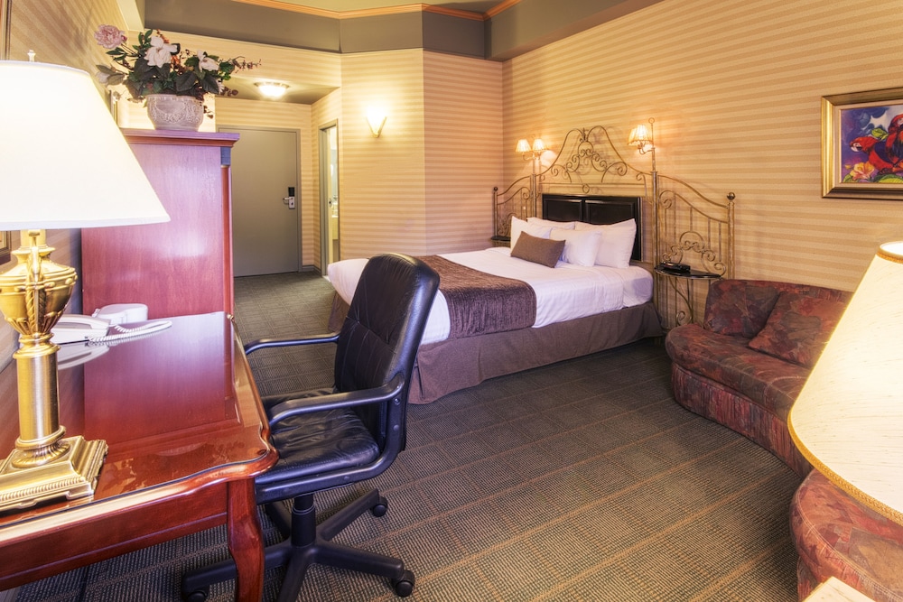 Economy Room, 1 Queen Bed And Single Whirlpool Bath photo 3