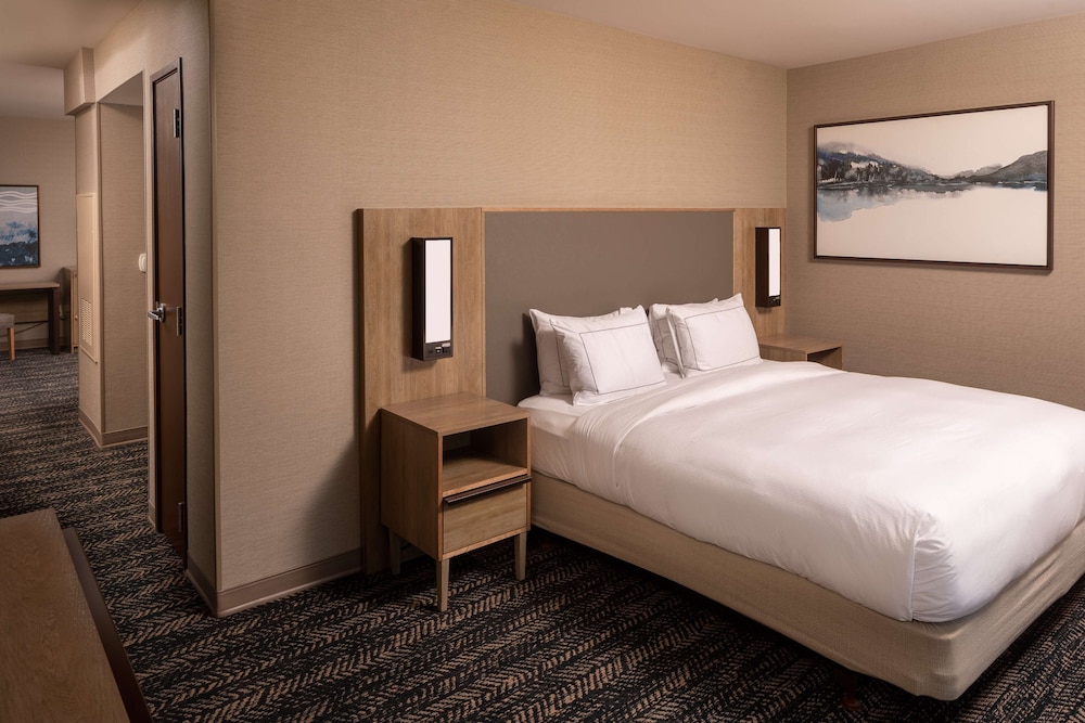 Suite, 1 King Bed, Accessible, Bathtub (Mobility & Hearing) - Photo 1