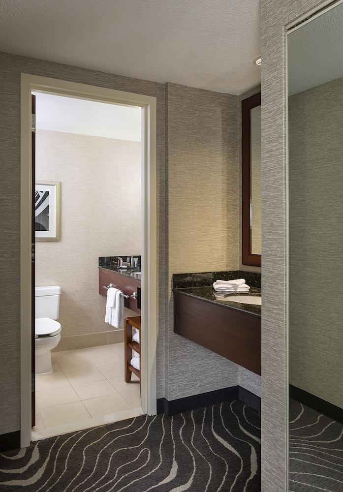 Room, 1 King Bed
