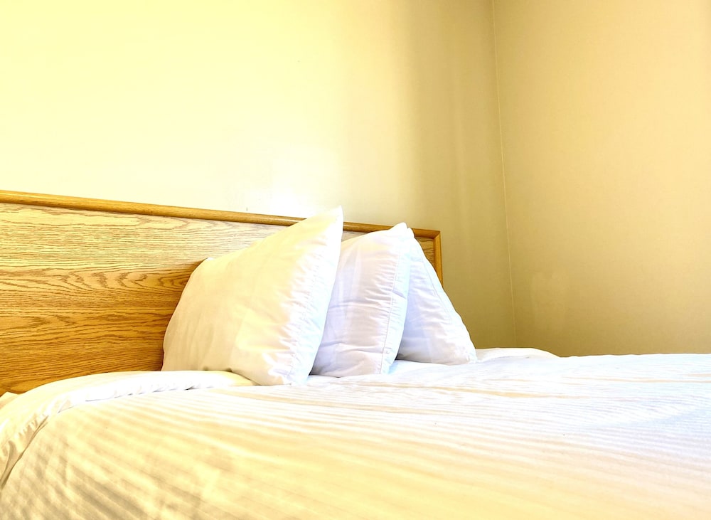 Single Queen Room photo 1