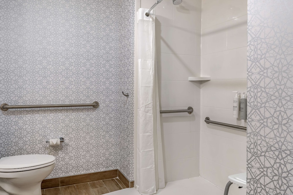 Room, 1 King Bed, Accessible (Mobility & Hearing, Roll-In Shower) photo 1