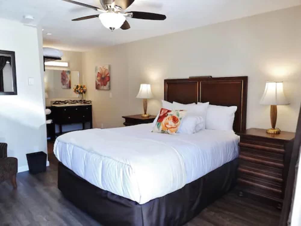 Classic Single Room, 1 Queen Bed photo 1