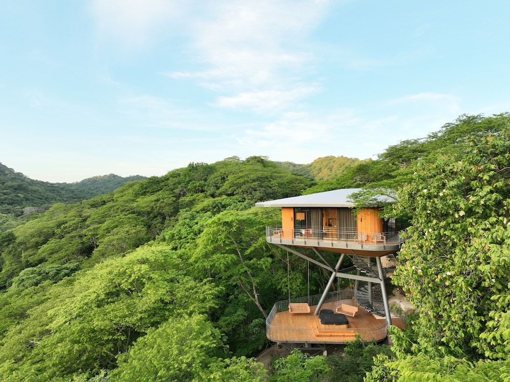 Treetop Suite with Pool view photo 3